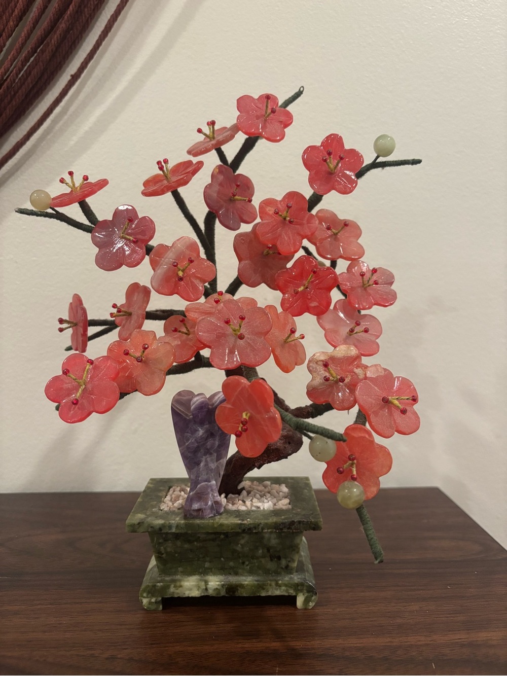 Jade Bonsai Tree